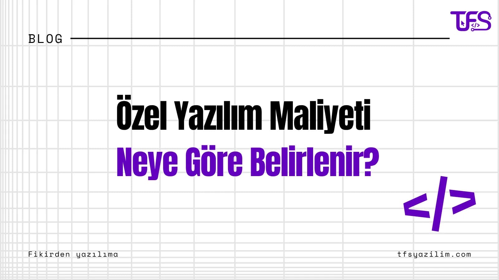 Özel Yazılım Maliyeti Neye Göre Belirlenir?